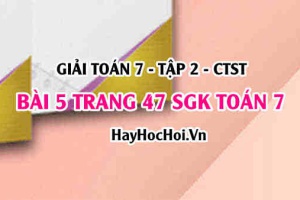 Giải bài 5 trang 47 Toán 7 tập 2 SGK Chân trời sáng tạo